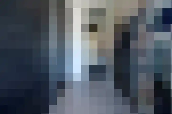 Zonland 107 Groningen thumbnail 20