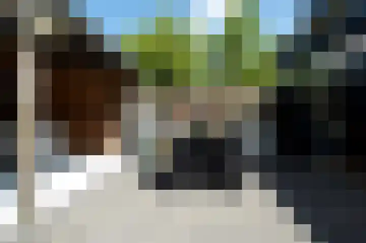 Zonland 107 Groningen thumbnail 33