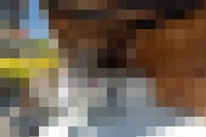 Zonland 107 Groningen thumbnail 34