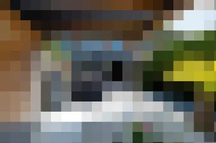 Zonland 107 Groningen thumbnail 37