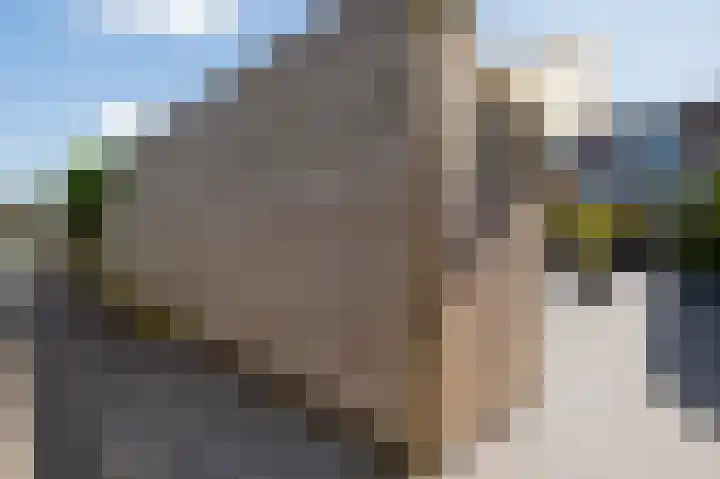 Zonland 107 Groningen thumbnail 38