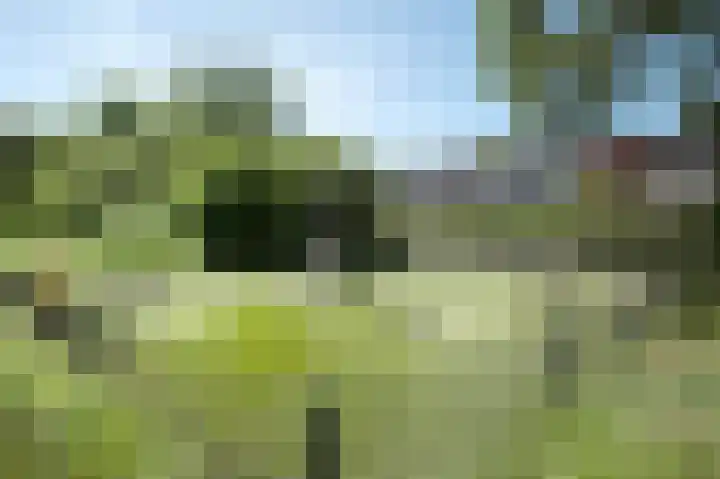 Zonland 107 Groningen thumbnail 39