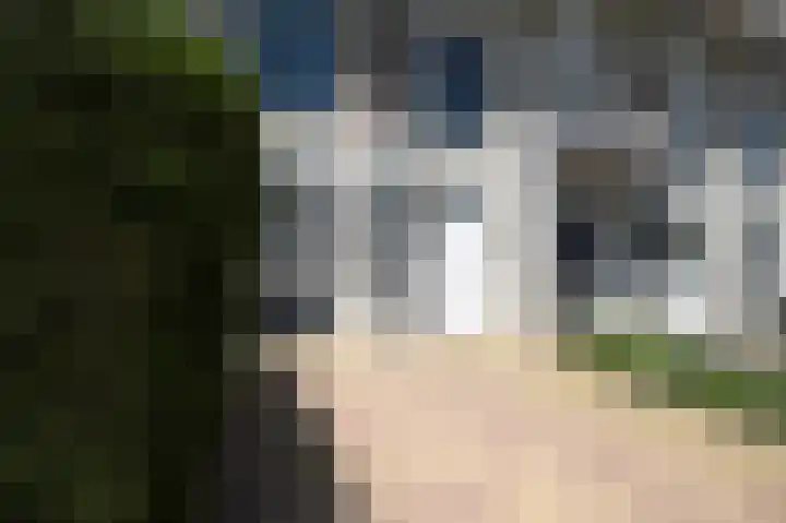 Zonland 107 Groningen thumbnail 41