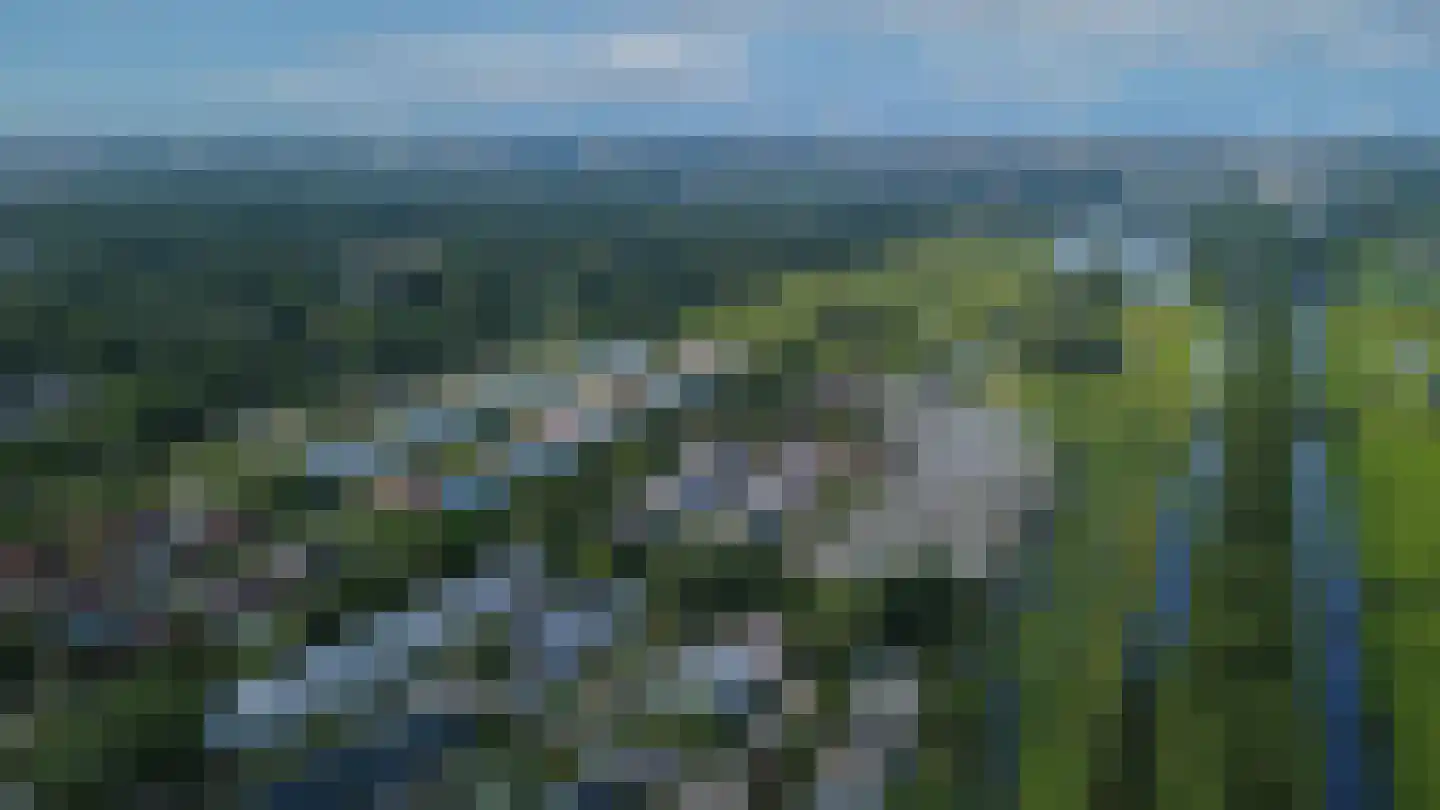 Zonland 115 Groningen thumbnail 50