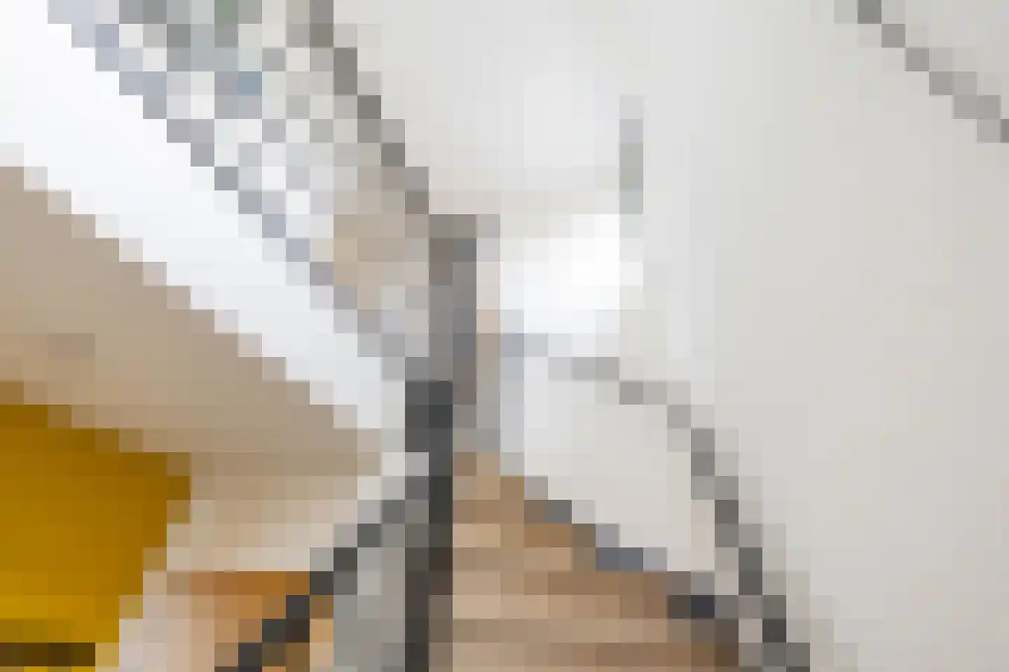Zonland 13 Groningen thumbnail 15