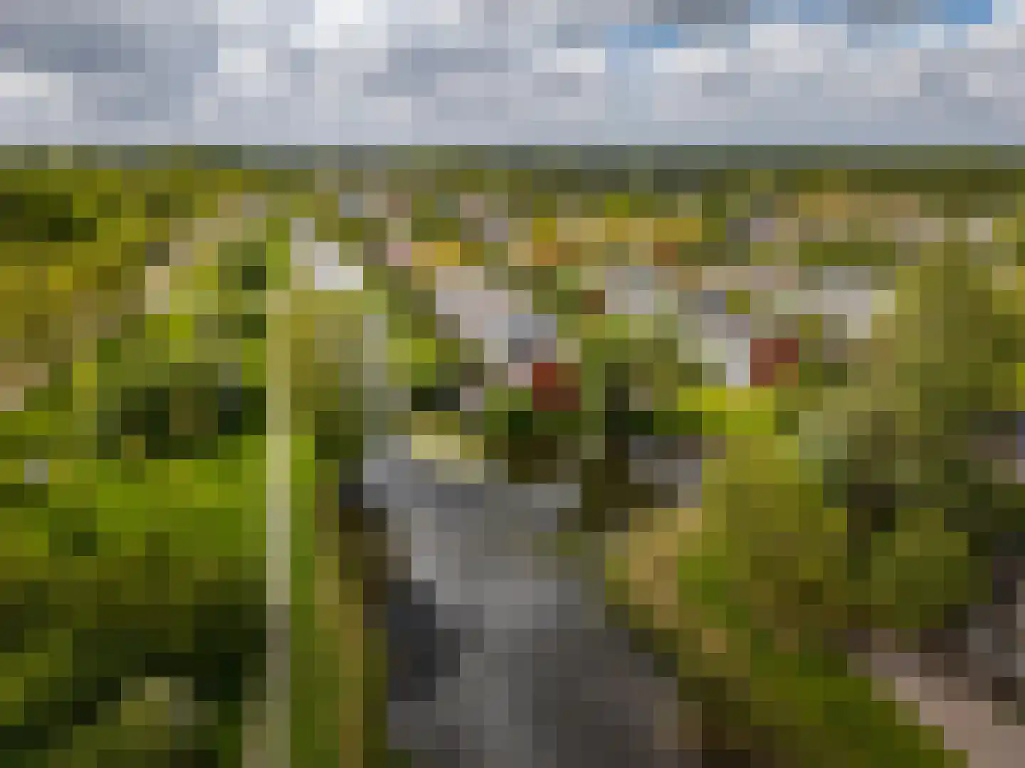 Zonland 13 Groningen thumbnail 29
