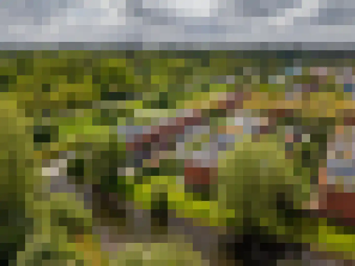 Zonland 13 Groningen thumbnail 30