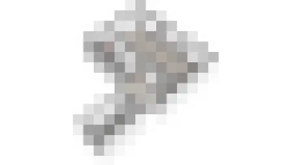 Zonland 13 Groningen thumbnail 34