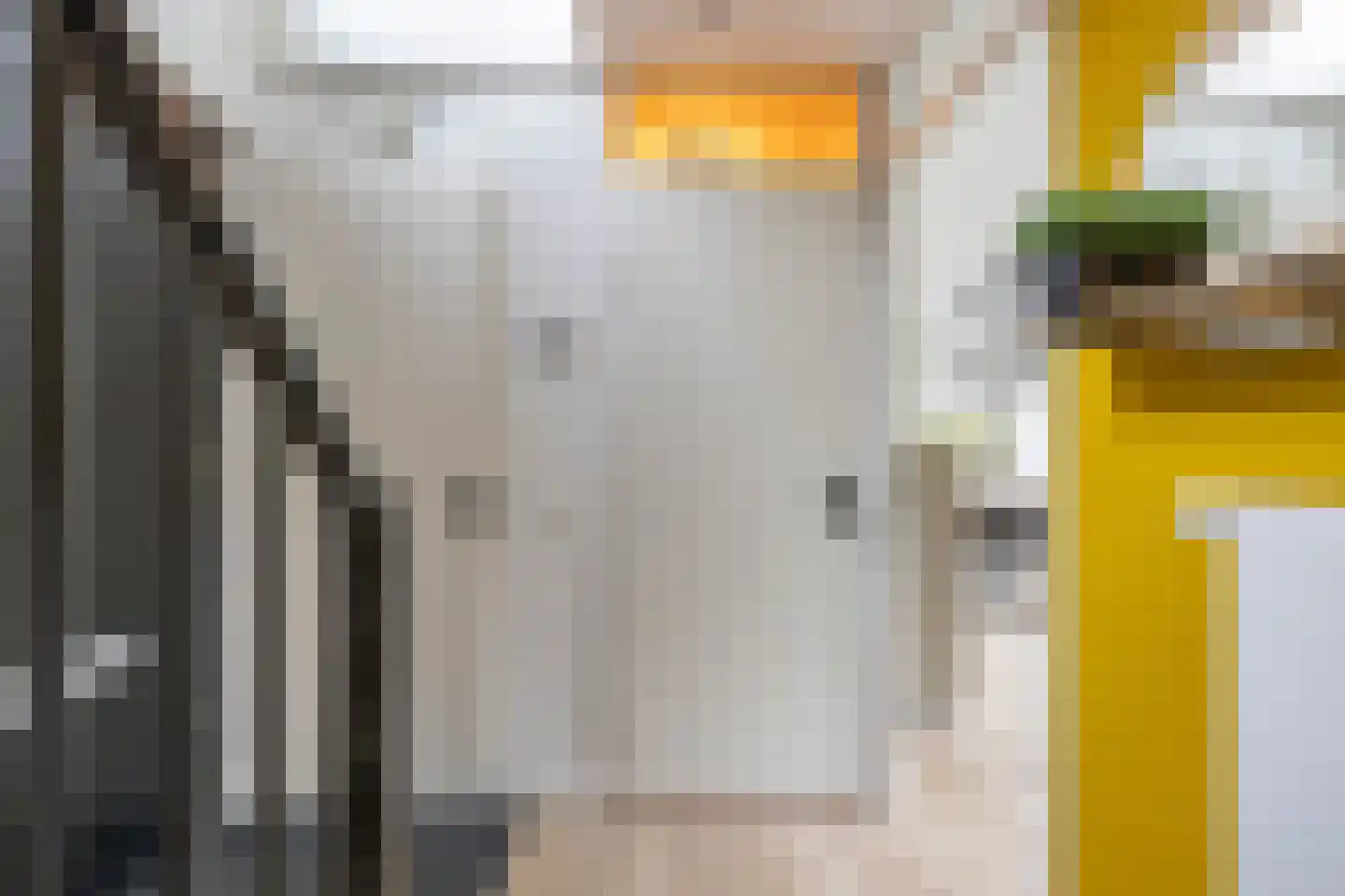 Zonland 13 Groningen thumbnail 6