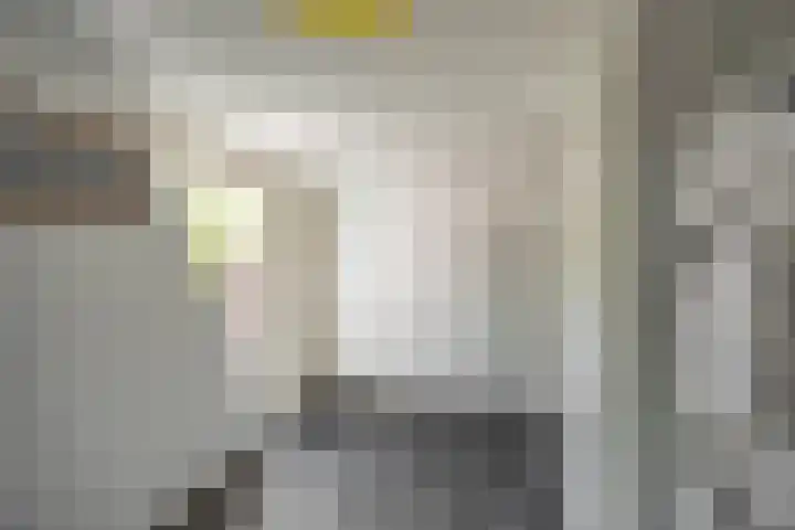Zonland 147 Groningen thumbnail 10