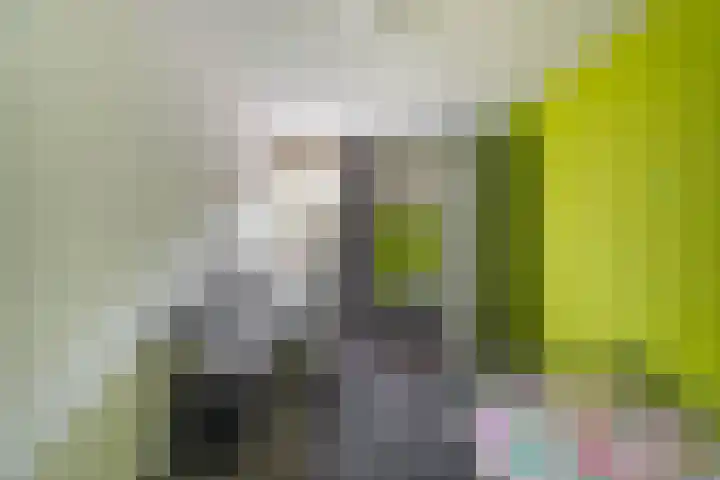 Zonland 147 Groningen thumbnail 12