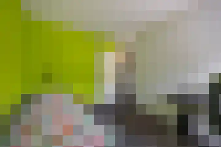 Zonland 147 Groningen thumbnail 13