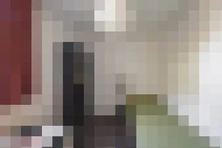 Zonland 147 Groningen thumbnail 16