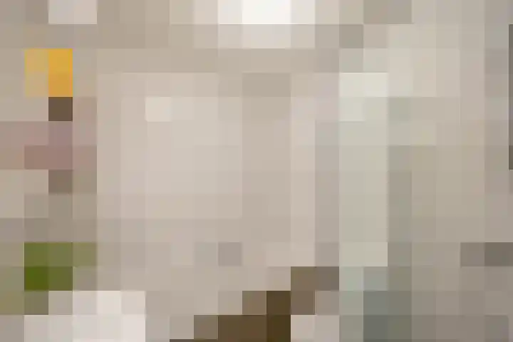 Zonland 147 Groningen thumbnail 19
