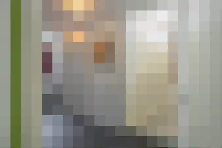 Zonland 147 Groningen thumbnail 22