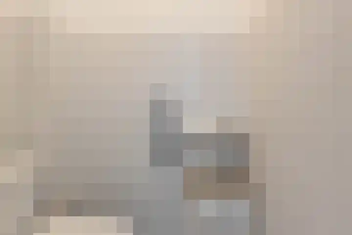 Zonland 147 Groningen thumbnail 25