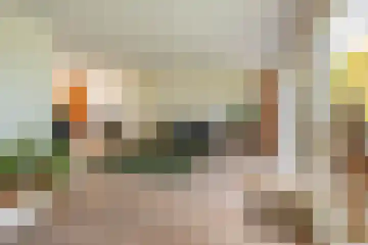Zonland 147 Groningen thumbnail 27