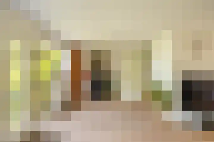Zonland 147 Groningen thumbnail 28
