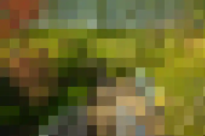 Zonland 147 Groningen thumbnail 29