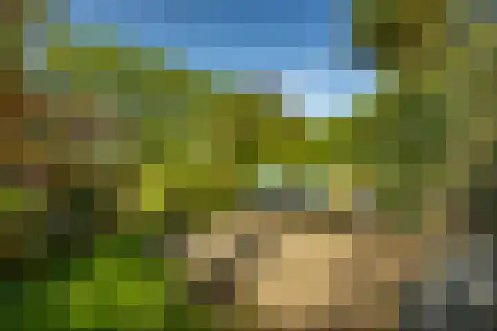 Zonland 147 Groningen thumbnail 30
