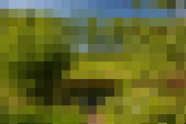 Zonland 147 Groningen thumbnail 31