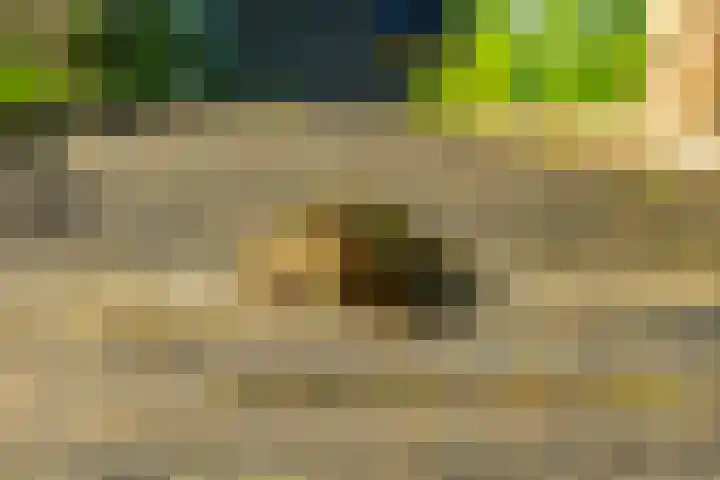 Zonland 147 Groningen thumbnail 32