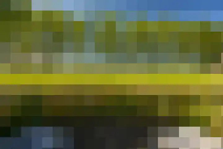 Zonland 147 Groningen thumbnail 33