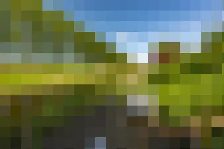 Zonland 147 Groningen thumbnail 34