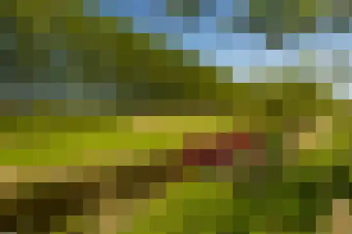 Zonland 147 Groningen thumbnail 35