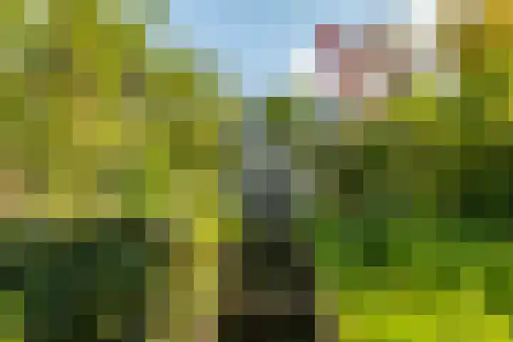 Zonland 147 Groningen thumbnail 36