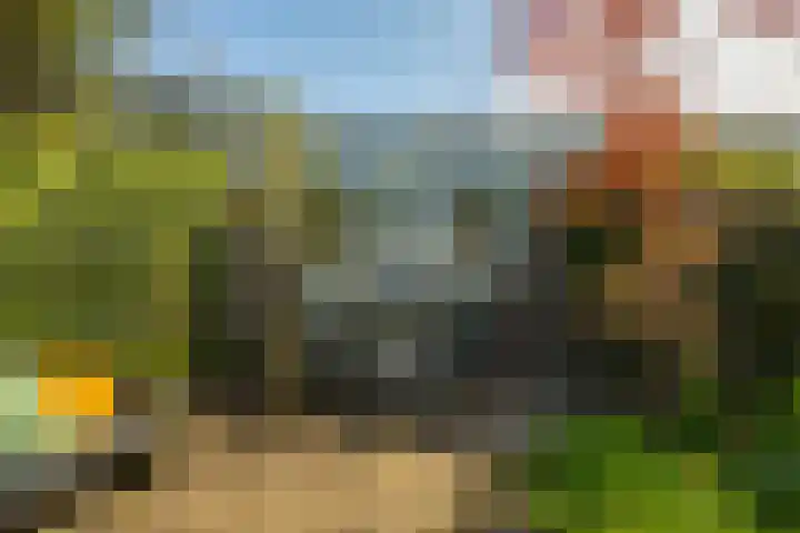 Zonland 147 Groningen thumbnail 37