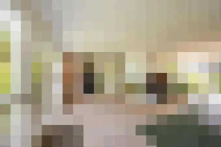 Zonland 147 Groningen thumbnail 38