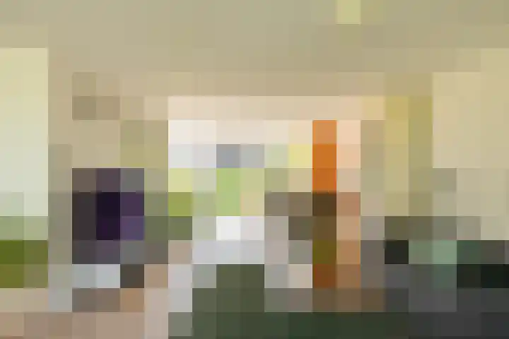 Zonland 147 Groningen thumbnail 39