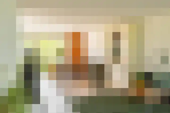 Zonland 147 Groningen thumbnail 40