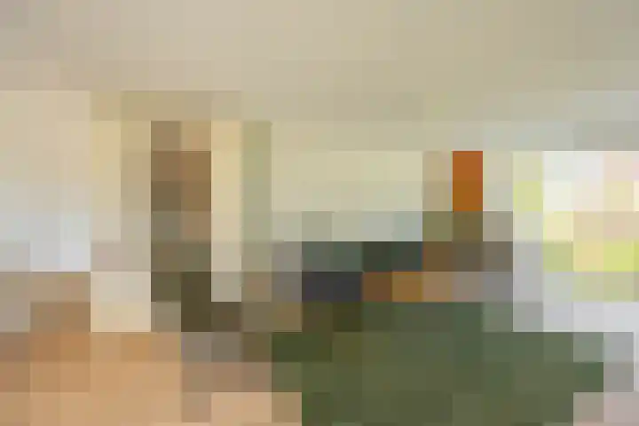 Zonland 147 Groningen thumbnail 41