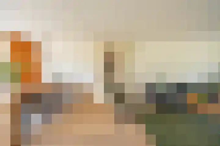 Zonland 147 Groningen thumbnail 42