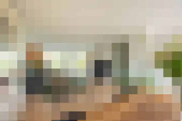 Zonland 147 Groningen thumbnail 43
