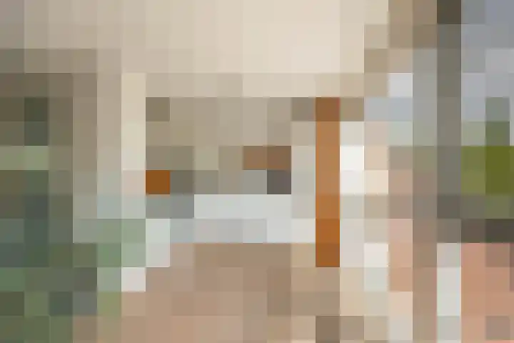 Zonland 147 Groningen thumbnail 44