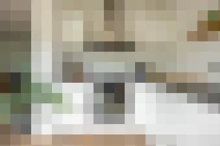 Zonland 147 Groningen thumbnail 46