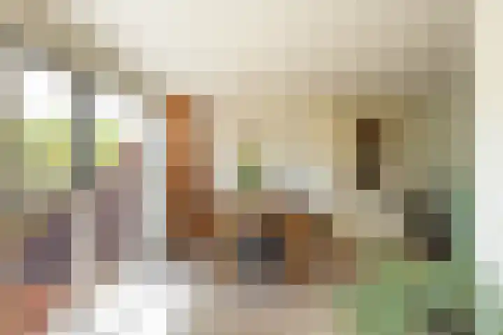Zonland 147 Groningen thumbnail 48
