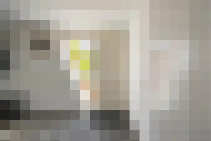 Zonland 147 Groningen thumbnail 50