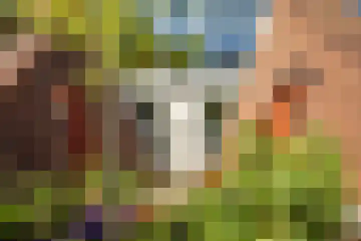 Zonland 147 Groningen thumbnail 51