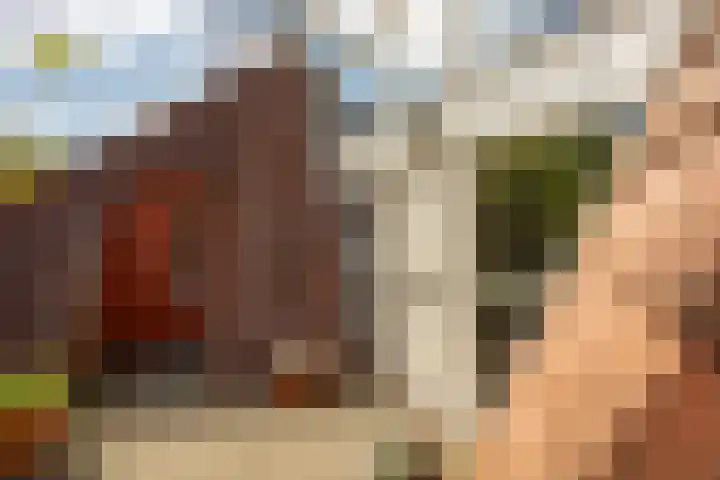 Zonland 147 Groningen thumbnail 52