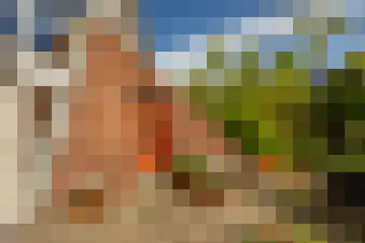 Zonland 147 Groningen thumbnail 53