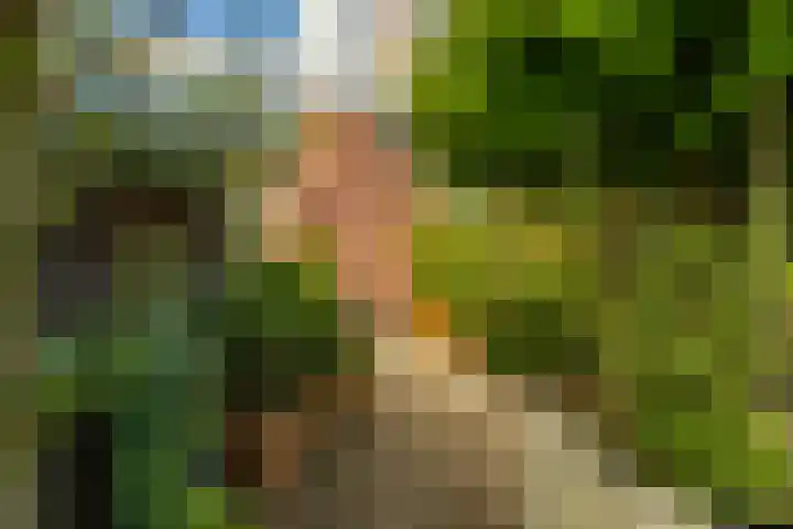 Zonland 147 Groningen thumbnail 54