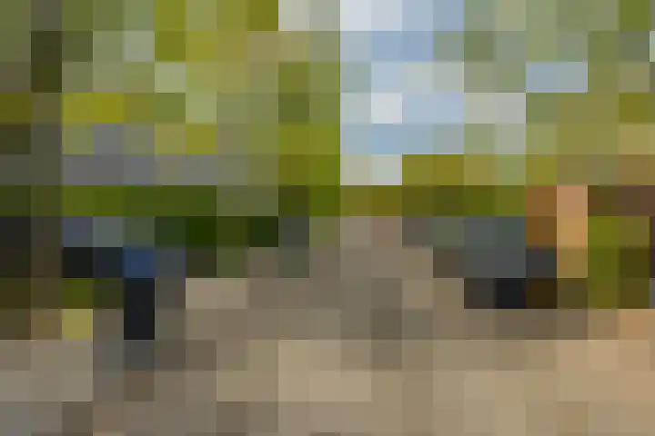 Zonland 147 Groningen thumbnail 55