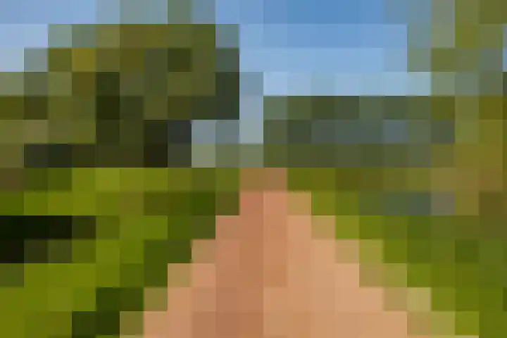 Zonland 147 Groningen thumbnail 56