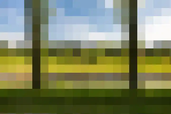 Zonland 147 Groningen thumbnail 57