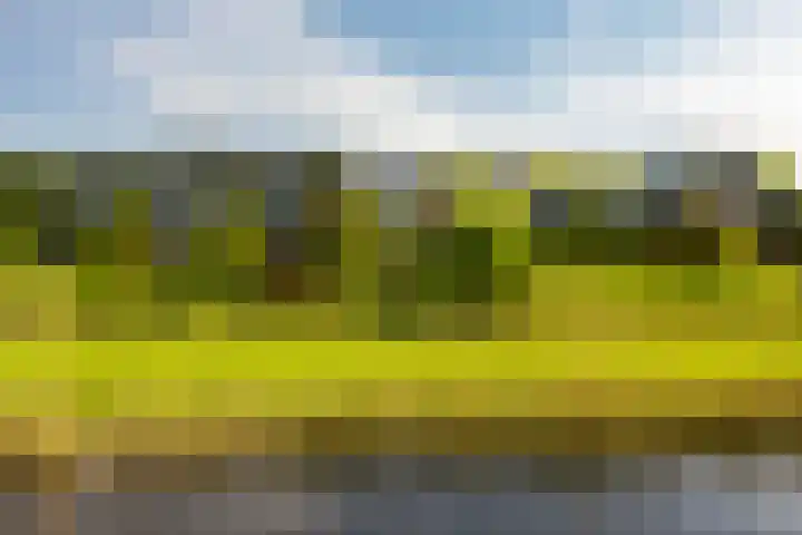 Zonland 147 Groningen thumbnail 58