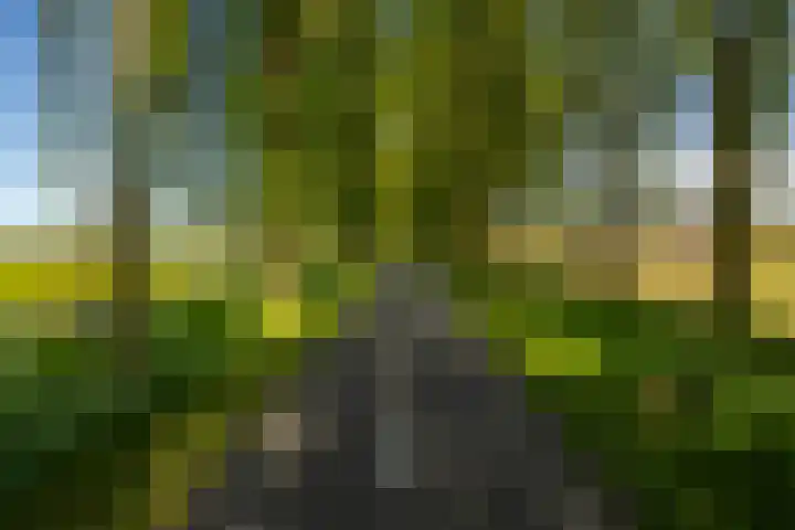 Zonland 147 Groningen thumbnail 59